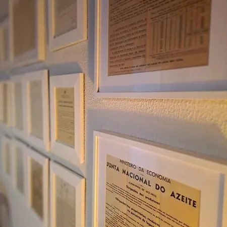 Babhouse Lagar Antigo - Coração Do Douro * Nagoselo do Douro