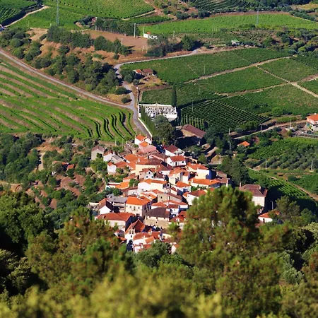 Babhouse Lagar Antigo - Coracao Do Douro アパート Nagoselo do Douro