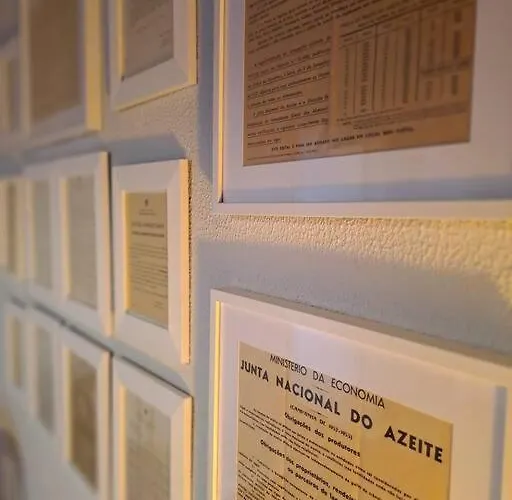 Babhouse Lagar Antigo - Coracao Do Douro * Nagoselo do Douro