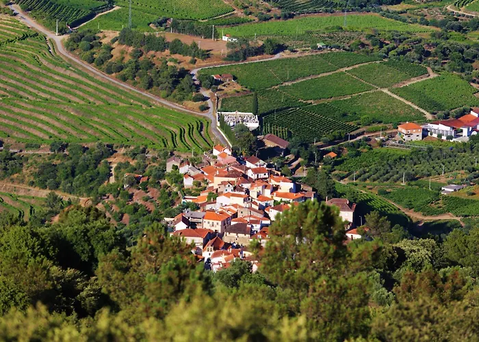 Babhouse Lagar Antigo - Coracao Do Douro Lejlighed Nagoselo do Douro